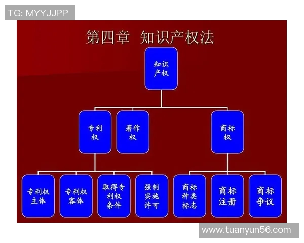 知识产权保护与创新发展：面向未来的法律框架与实践探索